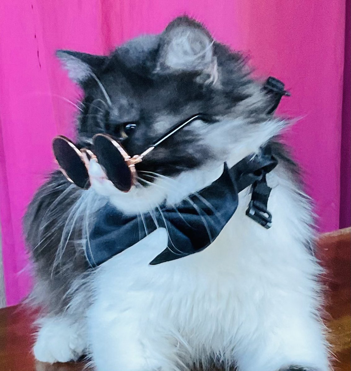 Jazzy 🌙 tweet media