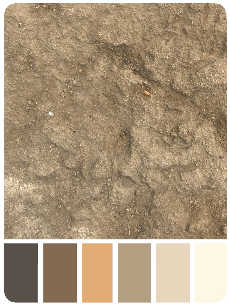 #scenicartistreference #setdresserreference #textureartist  #scenicreference #textures #surfaces #colourpalettes #paintreference #stone #rock