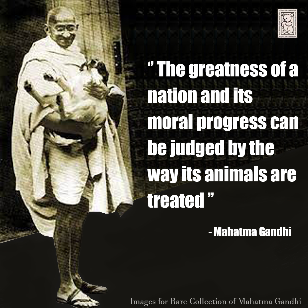 Love N Care For Animals on Twitter: Love N Care For Animals on Twitter: