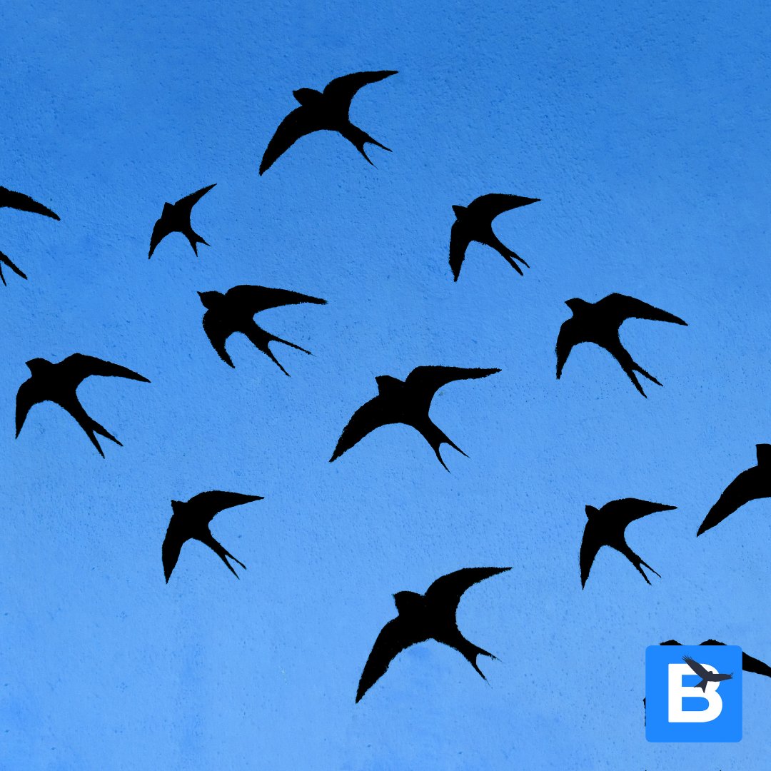 birda_org's tweet photo. Happy Migration Monday! What's the migration forecast this week?👀
Swifts, Swallows, House Martins and Sand Martins will be shortly arriving in the UK this week. Keep your eyes out as they make their way through the country!
#bird #birding #birda #migration #migrationforecast https://t.co/MtGlq7N2aW