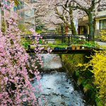 城崎温泉みなとや若旦那のツイート画像