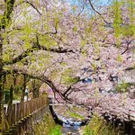 城崎温泉みなとや若旦那のツイート画像