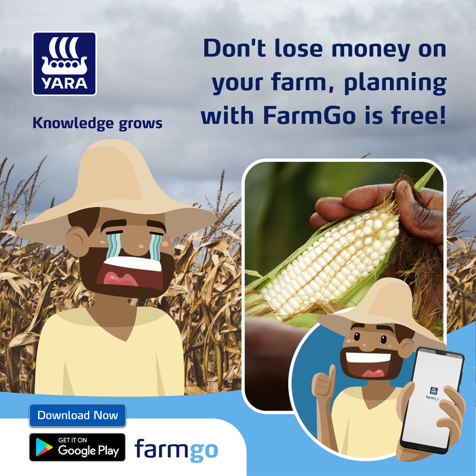 YaraKenya's tweet photo. Did you know that you can plan your farming activities with the help of #Yara's FarmGo app? Not only can you save money, but the app is free from the Google Play Store.
Get planning today with #FarmGo.
#YaraKenya #QualityCrops #KnowledgeGrows #MboleaNiYara https://t.co/JmnnfiXqu0