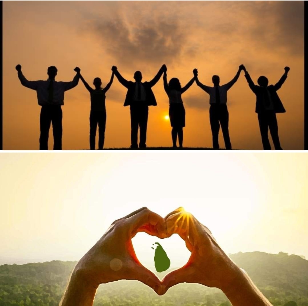 Thejanee Wijesinghe tweet media