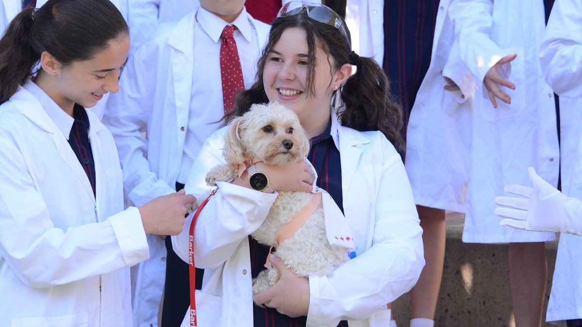 BarkerCollege's tweet photo. JUNIOR SCHOOL // Today is Healthcare Heroes Day in the Prep and Junior School with the fabulous support of our Year 8 students! Some great costumes are on display to raise money for the @NorthFoundation

Donations can be made here https://t.co/SmwysXyWP7

#WeAreBarker https://t.co/OnAHD0zWuP