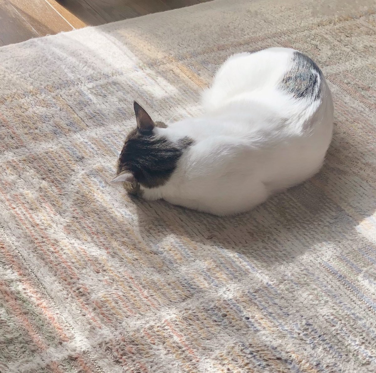 妖怪ふせん剥がし│フェリシモ猫部 https://t.co/Natip2DxD0 