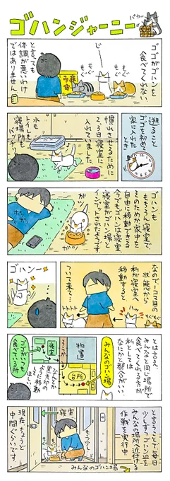 ゴゴのゴハン│フェリシモ猫部 https://t.co/ZqaU7DCOFq 