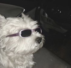 keniaos's tweet photo. Actitud de esta semana, ya casi es viernes. https://t.co/MNT8EaBkDa