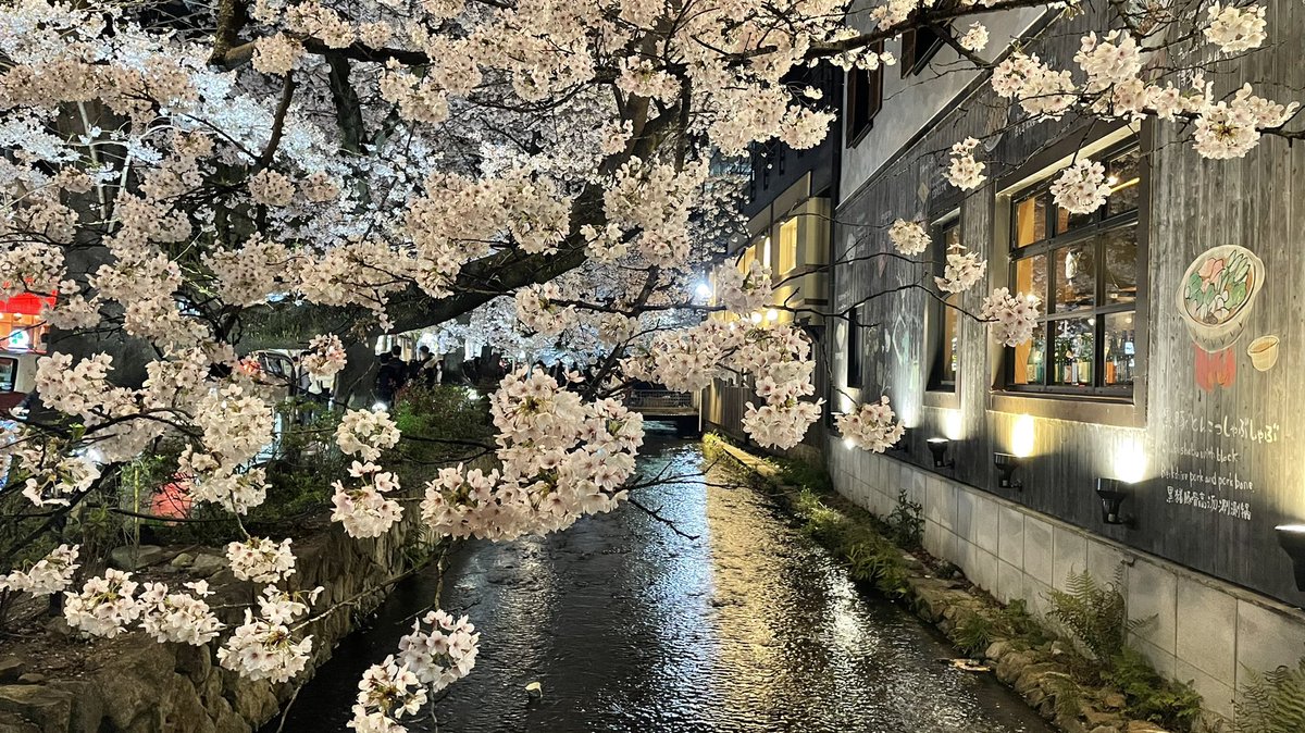 Flapy's tweet photo. Os dejo algunas fotos que tomé este finde del #Yozakura (o sakura nocturno) en #Kioto. Disfrutar de los cerezos en flor iluminados por la noche es una auténtica delicia. #Japón.

La palabra Yozakura se compone de dos kanji:
Yo(夜): noche
Sakura(桜): cerezo
#Japan #Kyoto #Hanami https://t.co/KtBe9NMKAP