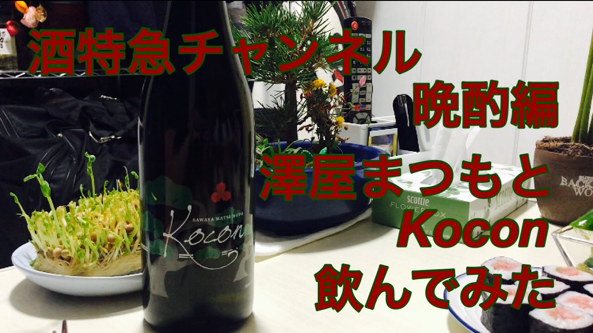 Kushi_no_kinop's tweet photo. 酒特急チャンネル 晩酌編 日本酒 澤屋まつもと Koconを飲んでみた 
https://t.co/wJvCuTE6ad @YouTubeより
#日本酒 #京都 #澤屋まつもと #Kocon #居酒屋 #晩酌 #串特急 #串特急伊東駅前店 #美味しい日本酒 https://t.co/mfzCuKGe4U