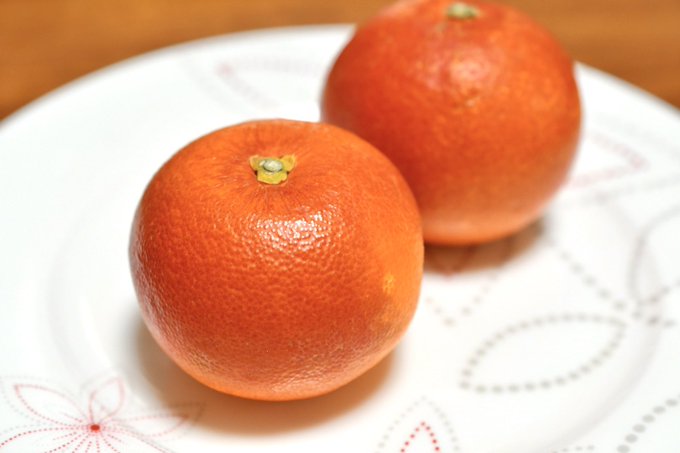 愛媛ブラッドオレンジの収穫時期は 食べ方とお取り寄せ通販の価格チェック 来週はきっと晴れ
