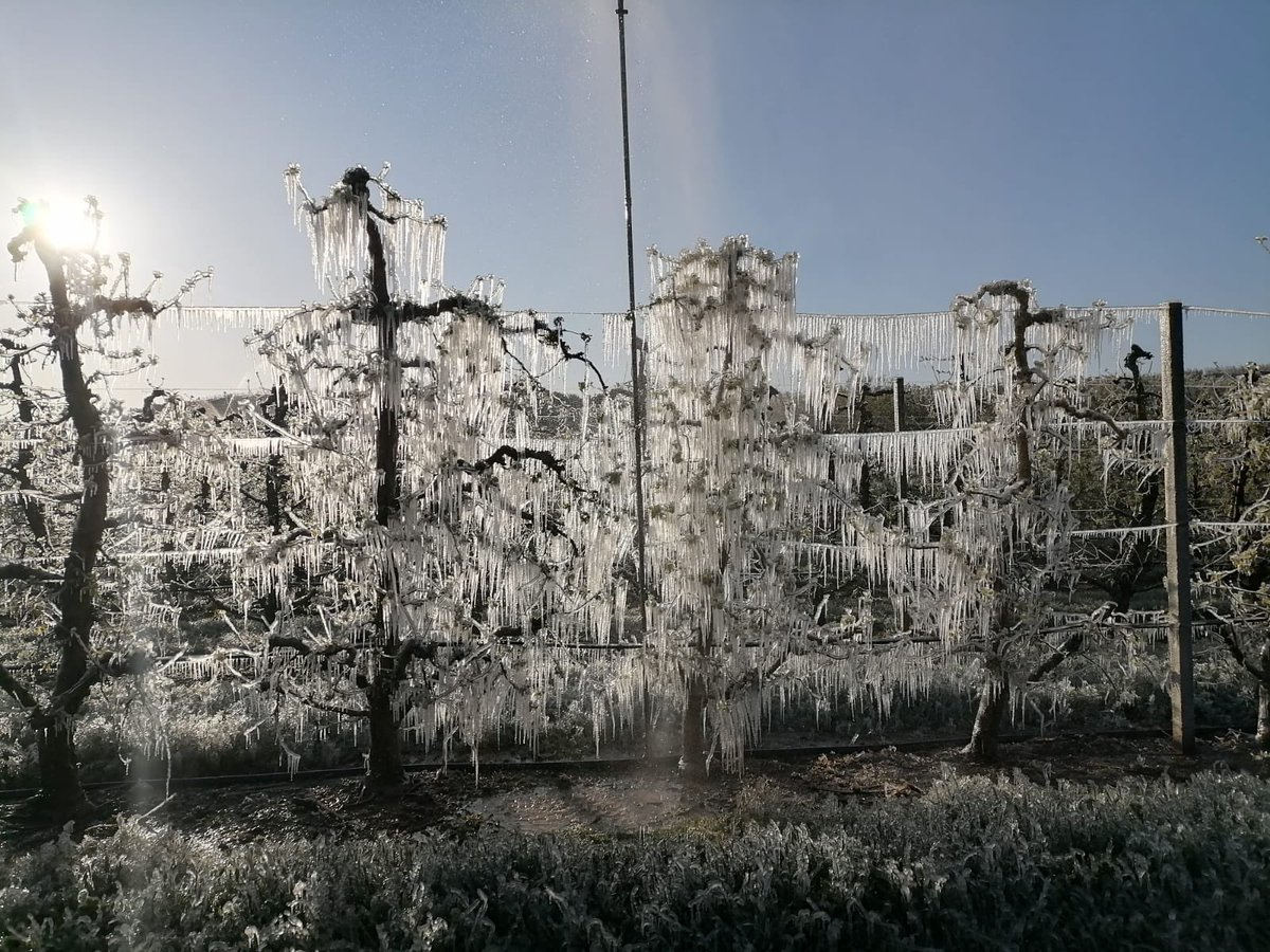 Imatges fantàsticament tràgiques de les dos passades nits.