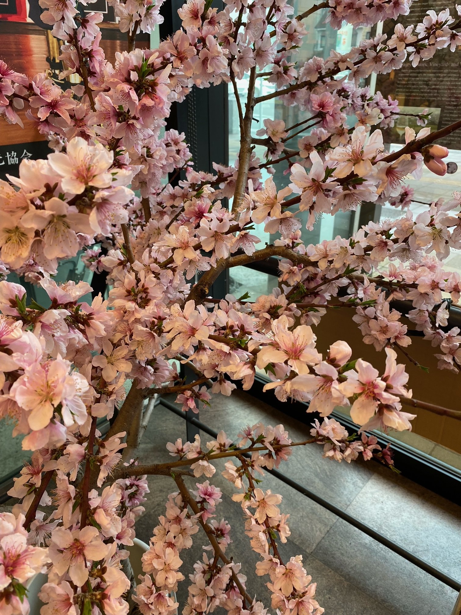石和温泉駅 観光案内所 Isawakankou Twitter