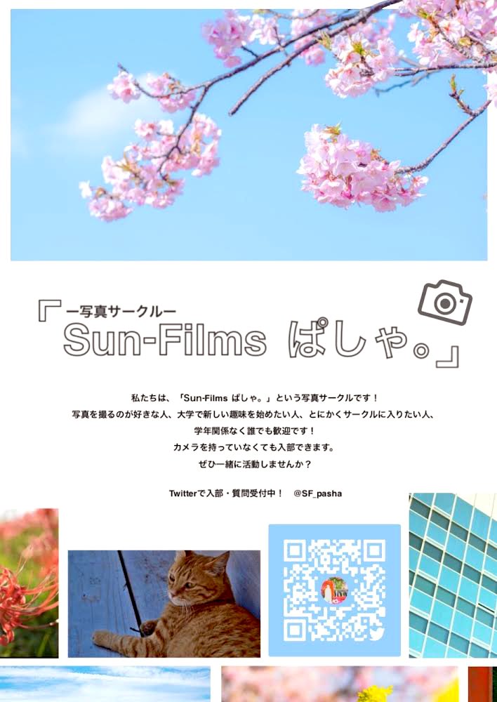 写真サークル『Sun-Films ぱしゃ。』では、写真を撮るのが好きな人だけでなく、新しい趣味を始めたい人、何かサークルに入りたい人、誰でも歓迎です🌸
カメラを持っていなくても大丈夫です🙆‍♀️
ぜひ一緒に活動しませんか？

質問などありましたら、DMへどうぞ！
 #長崎県立大学 
 #春から長崎県立大学