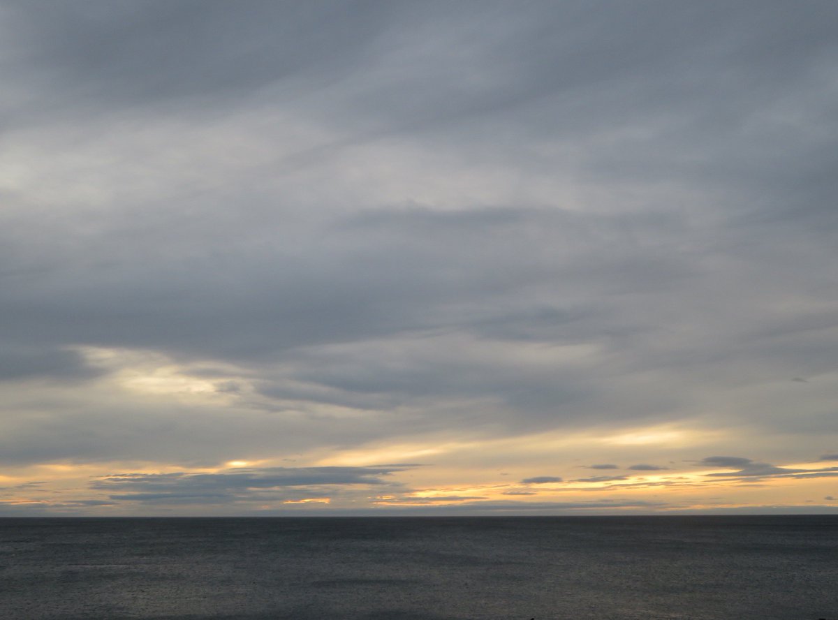 SeaSkyCraster's tweet photo. 4th April 2022  06.58 https://t.co/4x30OGlpQ3