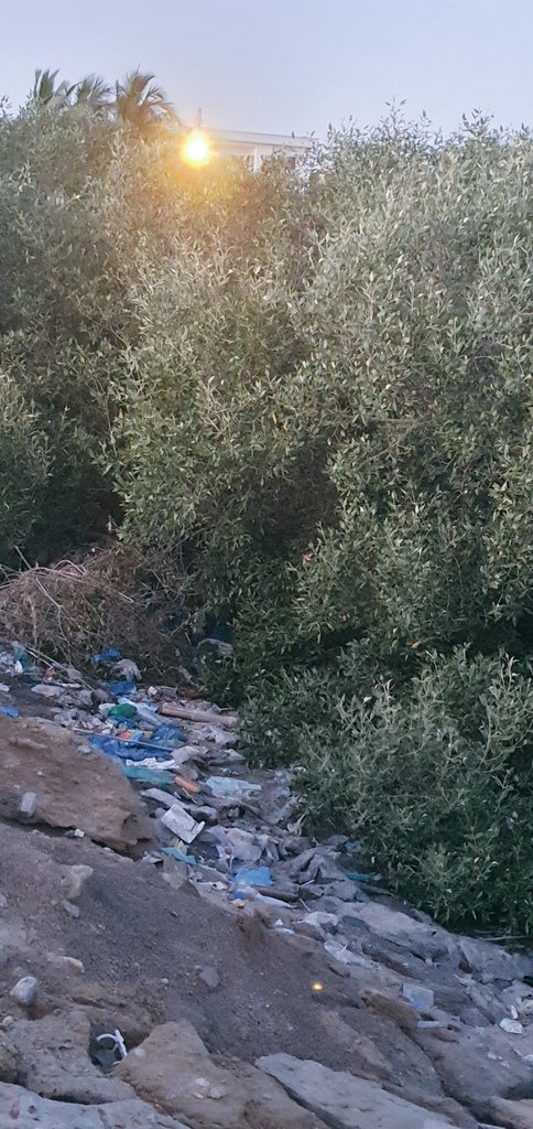 DGPakEPA's tweet photo. Worried about future of Marine ecosystem in Pakistan and our blue economy. #marinelife #NIO #CleanGreenPakistan No more plastic free water bodies. https://t.co/CSOBhc83LH