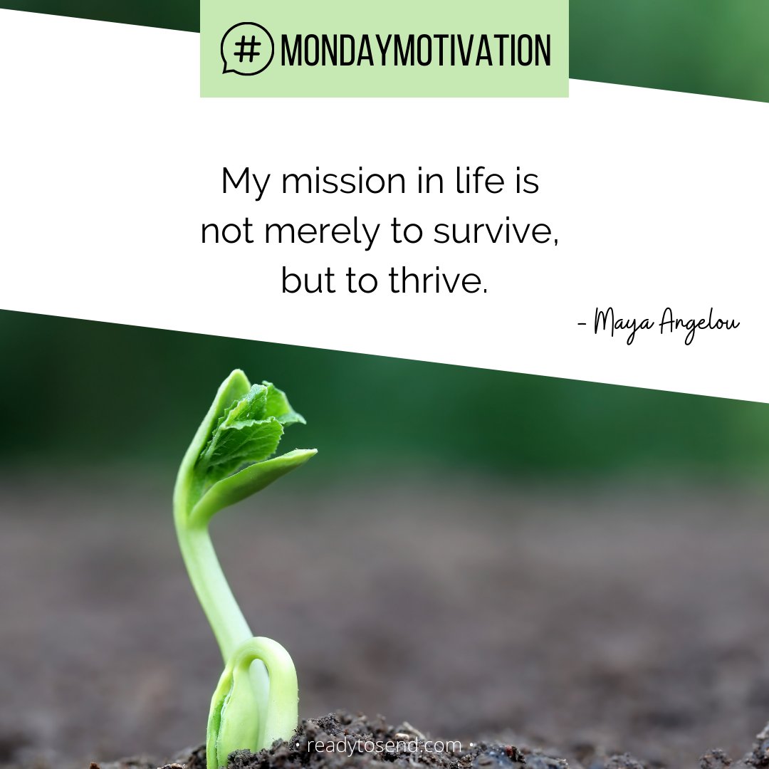 SAPropertyGuy's tweet photo. #MondayMotivation: Thrive #quotestoliveby #motivationalquotes #positivevibes #mondaymotivation #success #mindset https://t.co/zod2fSvDqN