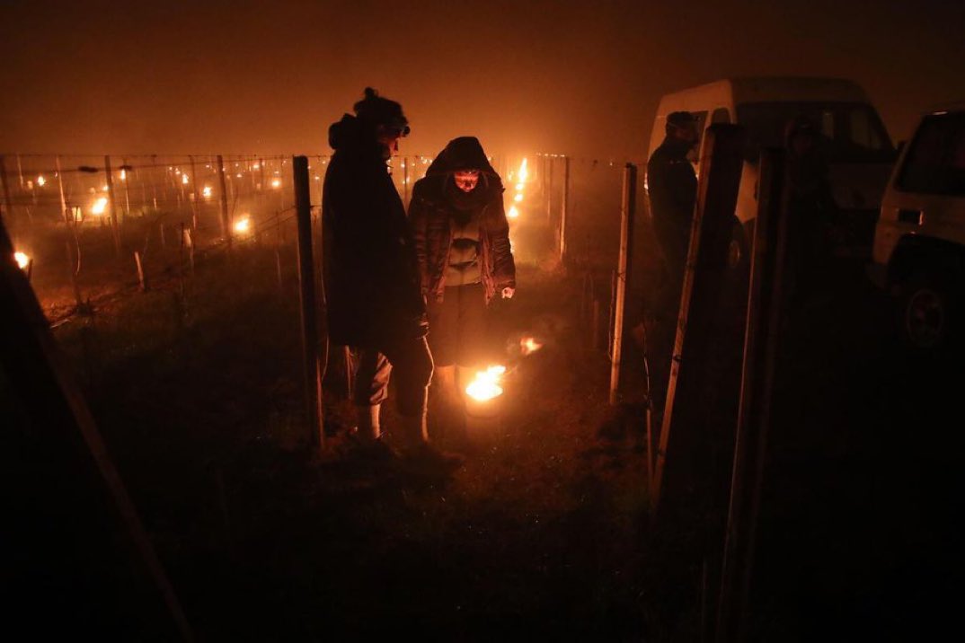 J_Denormandie's tweet photo. Nos agriculteurs sont une nouvelle fois touchés par un épisode de gel exceptionnel qui frappe actuellement notre territoire.

Face aux dégâts qui pourraient être très importants, le @gouvernementFR sera à leurs côtés. ⤵️ https://t.co/V140BMBi5d