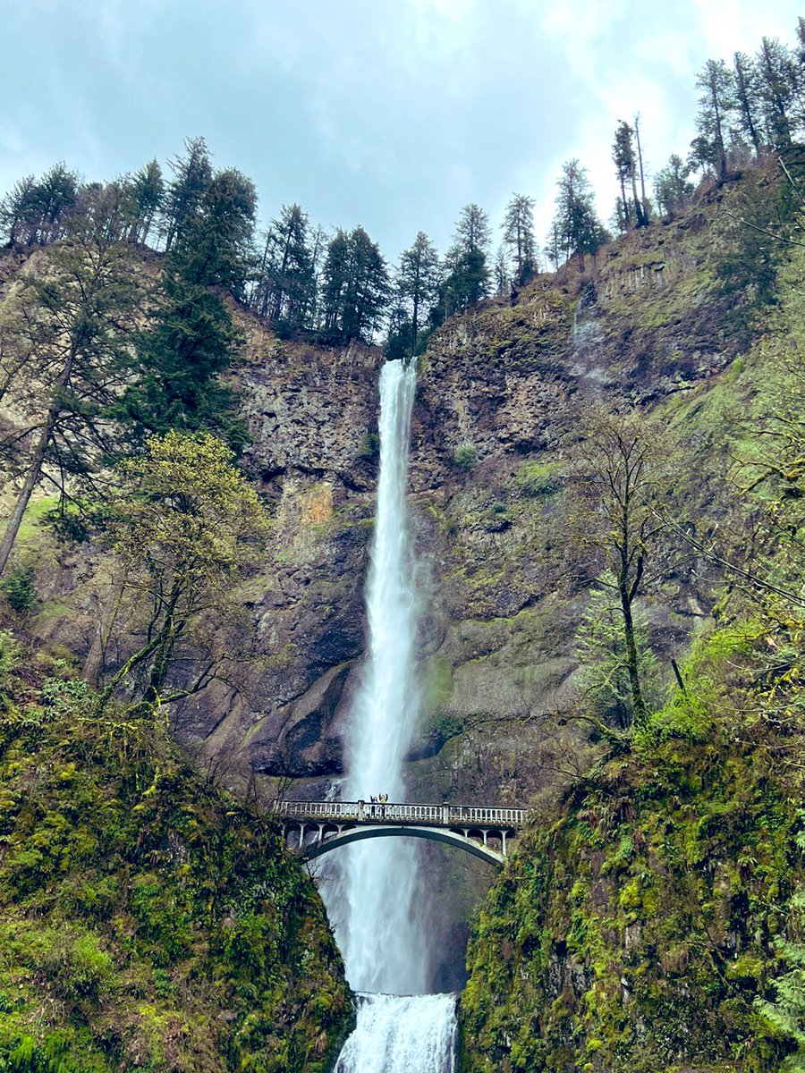 happydanielfan's tweet photo. Guess where Iโm at? Portland Oregon. Visiting a few places where #kangdaniel visited in 2020 for #hellodaniel. #multnomahfalls, #coavacoffee, #bluestardunuts, etc. Having a ball. https://t.co/SCFmdUqIBk