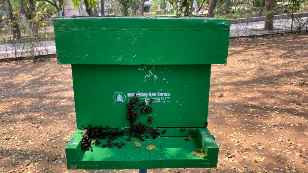 dg_officenimsme's tweet photo. #nimsme in #collaboration with @kvicindia State Office erected #Bee #Boxes in the #campus for #demonstration on #Honey #Bee #Keeping #training. #minmsme #MSMEs #entrepreneurship #NHBM https://t.co/DSlwt1R6fN
