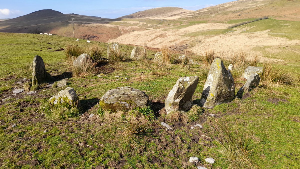 #MegalithMonday or #MondayMegalith 🤔. The small Early Bronze Age cairn-circle at Hirnant, below #Pumlumon in the #CambrianMountains, basking in spring sunshine yesterday. 

Remarkable that this small family monument has weathered 4500 yrs of landscape change