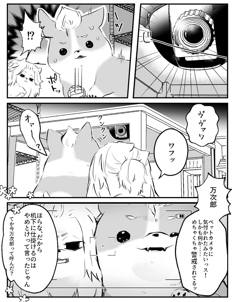 rkgk 同棲しているマイ武さん家の🐶
異物発見するイッヌ 