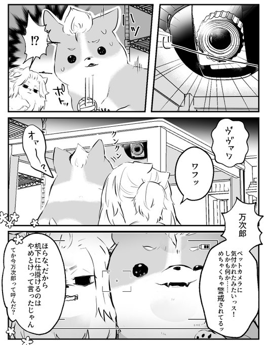 rkgk 同棲しているマイ武さん家の🐶
異物発見するイッヌ 
