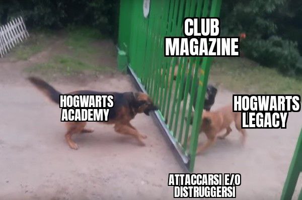 ClubMagazine1's tweet photo. Il meme della settimana sul nostro Giornale dei Club di @HabboItalia su Telegram! Dichiarazioni, botta e risposta per i due club a tema magico..ma si arriverà ai fatti?
#Habbo #habboitalia #nft #categoriaclubrlavoro #habboisnotalone #habbohotel https://t.co/rRSDyGagok