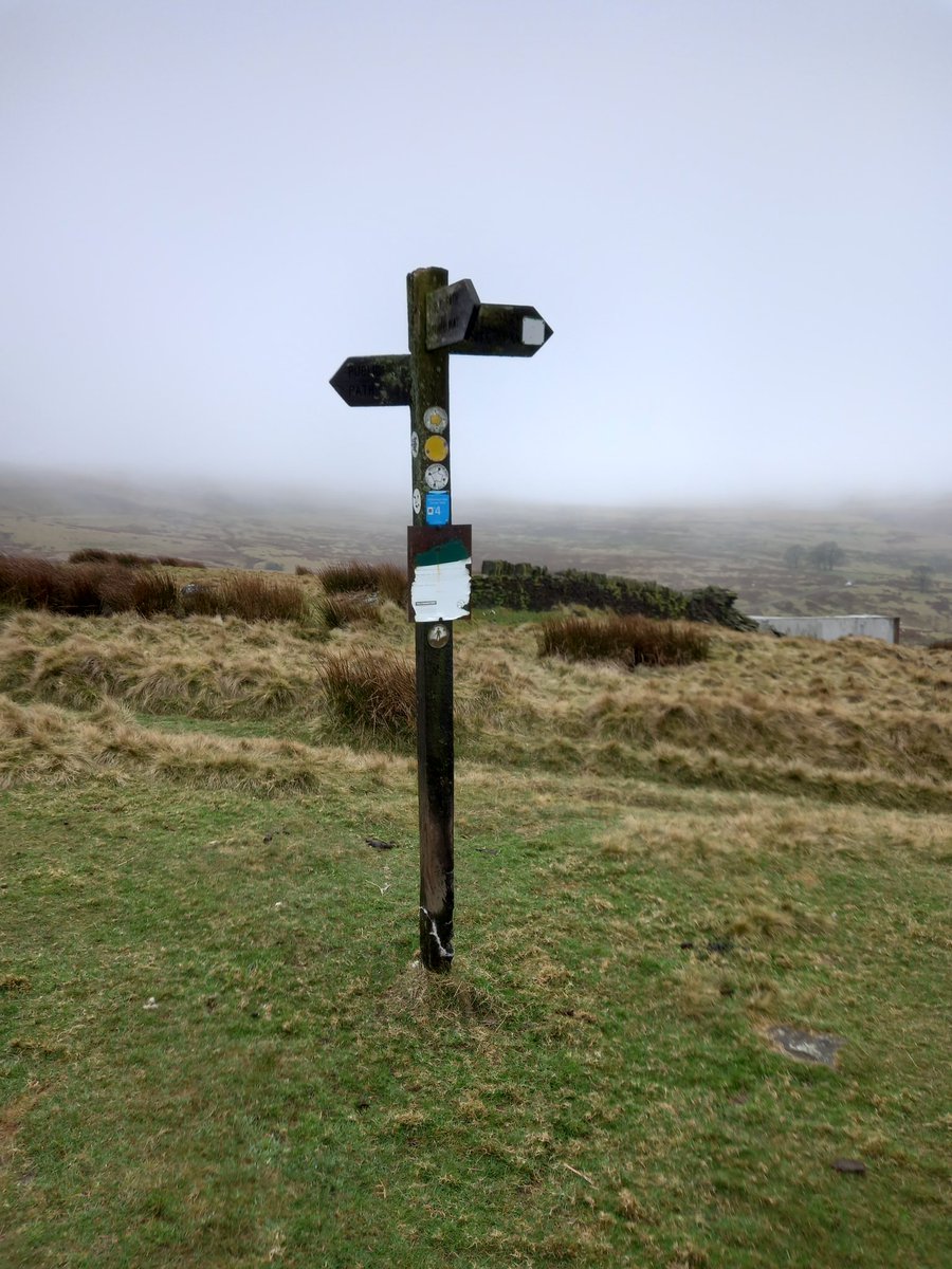 SmithXray99's tweet photo. NICE WAIK OVER THE MOORS . https://t.co/iRXbaiTnkq
