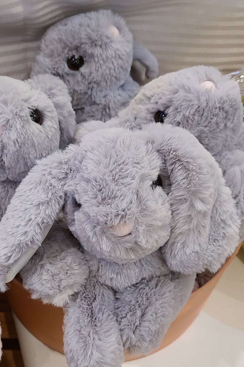 We have some cute and cuddly bunnies looking for a home in time for Easter!