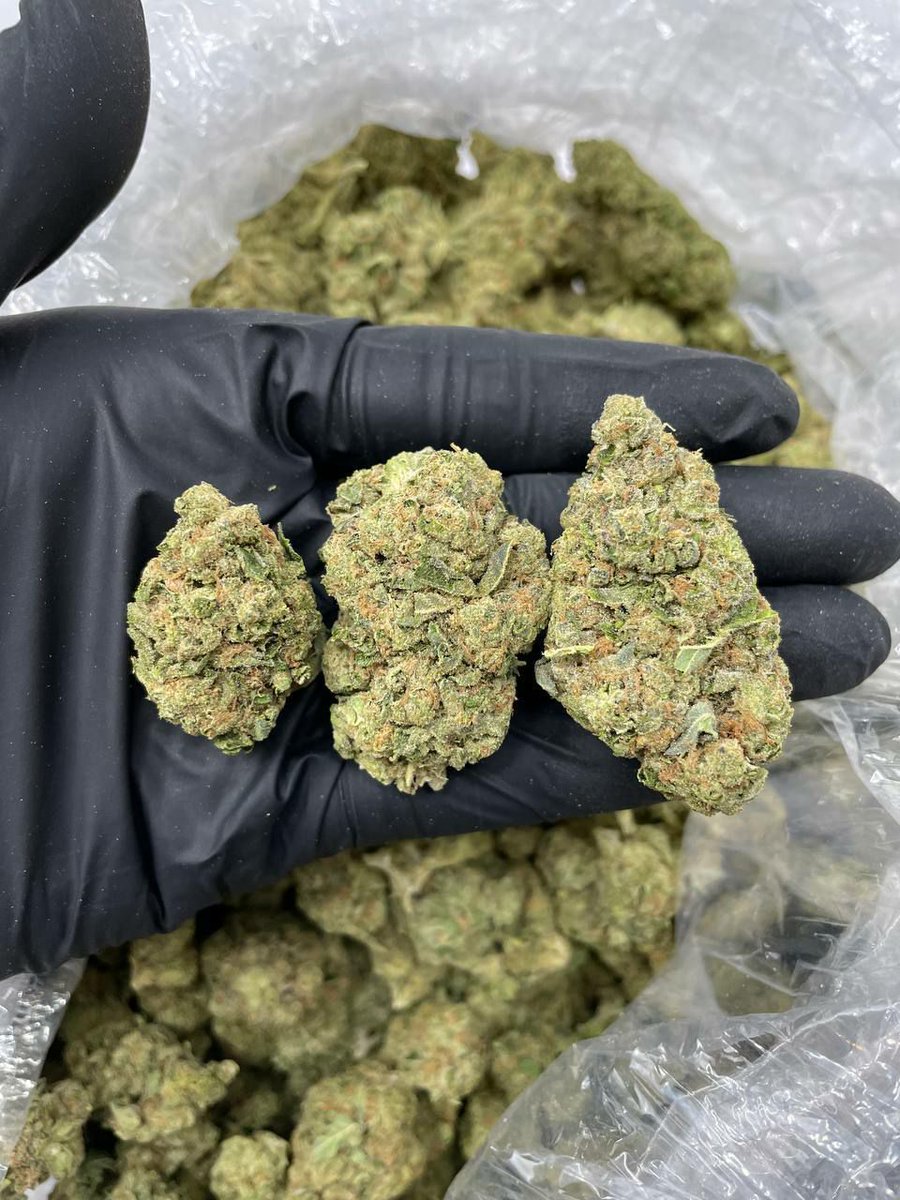 land1_landry's tweet photo. Livraison weed rapide et discrète à l’adresse de votre choix :#weed #Mmemberville #FranceVerte #TheGreenNation #cannabisCommunity #cannabisculture #CannabisMedicale #CannabisGrower #Mrproverbe #ciitation
Contacter moi via
👇👇👇👇
télégramme :@boulanger420 https://t.co/hZHpyajUd0