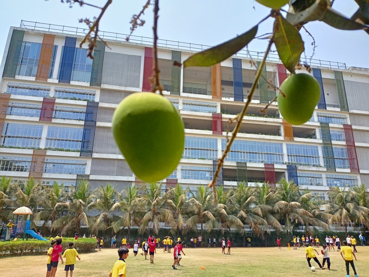 shrirang_joo's tweet photo. Please observe the photo #mango.
Mango are still on the tree.
@oismumbai @ois_primary @ey_ois @OIS_High @ois student are demonstrating Principled, Caring #Ibprofile and self management skill #ATLskill. https://t.co/B4J0RHbnjh