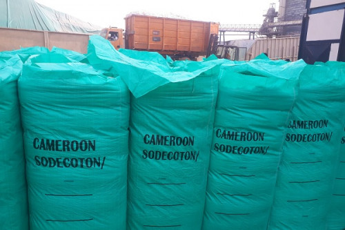 InvestCameroun's tweet photo. La Sodecoton redoute une perte de 9 milliards FCFA en 2021-2022, à cause des exportations frauduleuses vers le Nigeria https://t.co/coEqI8OrxV https://t.co/J3tlMXaykA