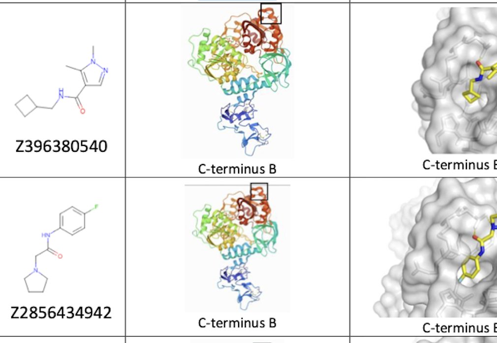 Matthew Todd (@mattoddchem) on Twitter photo Our very first <a href="/thesgconline/">Structural Genomics Consortium (SGC)</a> Open Chemistry Networks meeting later today (5pm UK). Project 4, SARS-CoV-2 Nsp13 fragment project, chaired by student champ <a href="/TomMBK97/">Tom Knight</a>. Details: github.com/StructuralGeno… All welcome. #openscience #SGC-OCN #SGCchem <a href="/target2035/">Target 2035</a> #FBDD Our very first <a href="/thesgconline/">Structural Genomics Consortium (SGC)</a> Open Chemistry Networks meeting later today (5pm UK). Project 4, SARS-CoV-2 Nsp13 fragment project, chaired by student champ <a href="/TomMBK97/">Tom Knight</a>. Details: github.com/StructuralGeno… All welcome. #openscience #SGC-OCN #SGCchem <a href="/target2035/">Target 2035</a> #FBDD