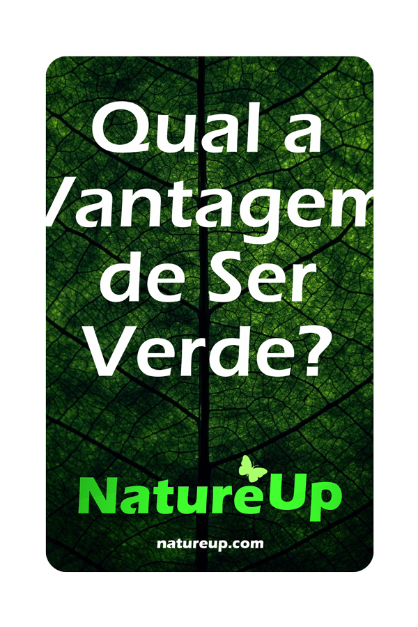 NatureUp's tweet photo. Chegou NatureUp! o Clube de Vantagens que economiza o planeta e o seu bolso. A melhor notícia para consumidores, empresas e investidores.

Veja https://t.co/hTCCqwQzmA

Assine Grátis em https://t.co/X3vmqqGNqH

#Economia #EconomiaVerde https://t.co/3U8FtmR0kC