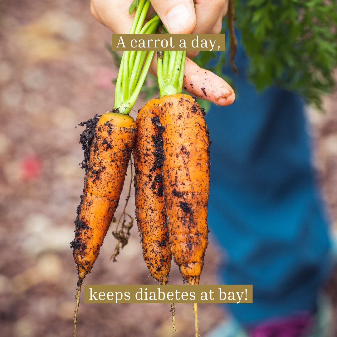 It's true! Their high levels of fiber, Vitamin A and beta-carotene actually make carrots a safe and healthy choice for anyone suffering from diabetes.

#organic #saintfarm #organicfood #diabetes #healthfood #carrotday #diabetestips #healthyeating #nutrition