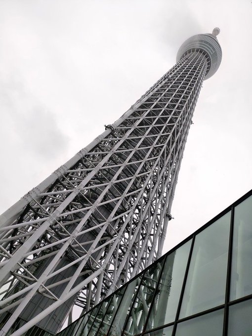 デカイツリーの麓にあるすみだ水族館行ってきた。良かった。料金高め。 