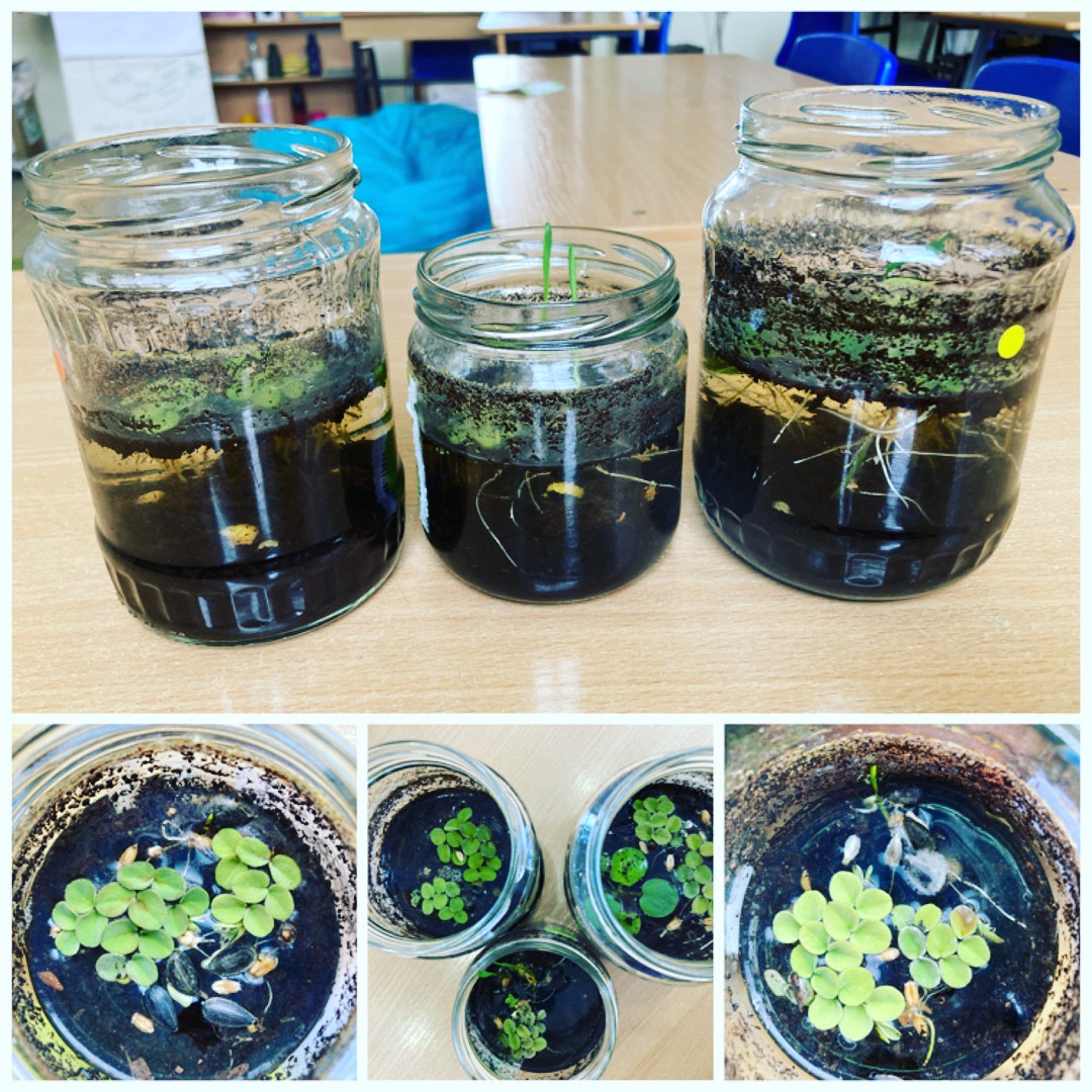 Kathryn Kiddell tweet media