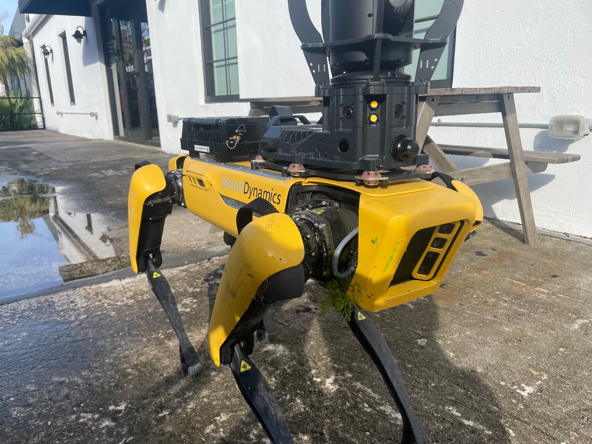 svpino's tweet photo. I'm hiring two Software Engineers for a fully remote position.

If working with this little dog sounds interesting to you, let's talk!

Base salary of $130,000/year. You have to be a resident, citizen, or a work-visa holder living in the United States.

Here are the details: https://t.co/BXSachuuqa