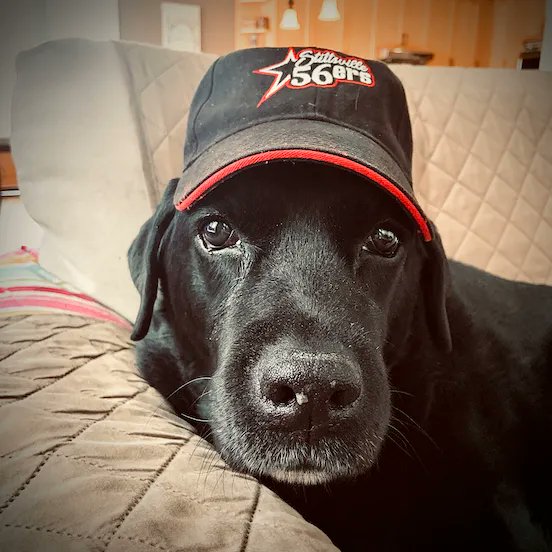 Stittsville Softball tweet media