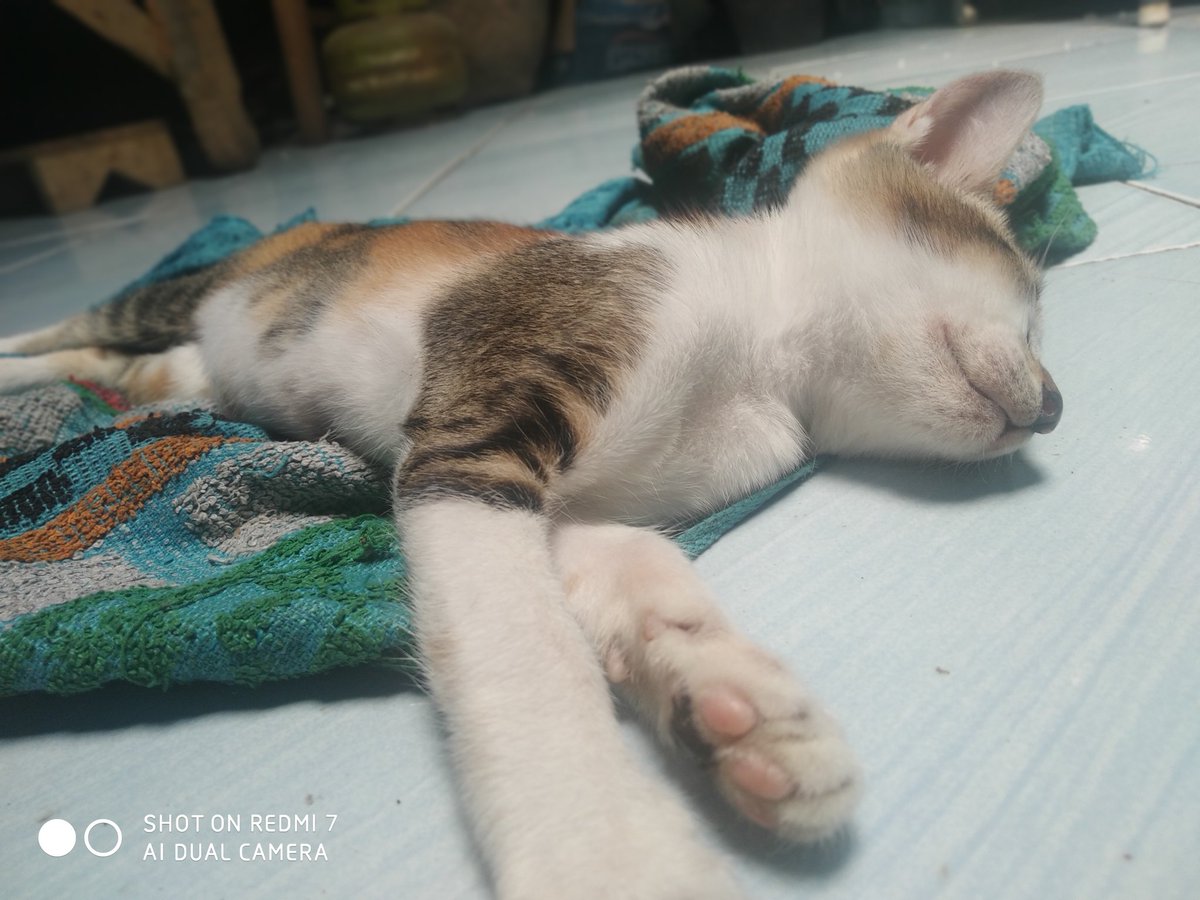 AcCandut's tweet image. Tunuh asal jam sakieu ge