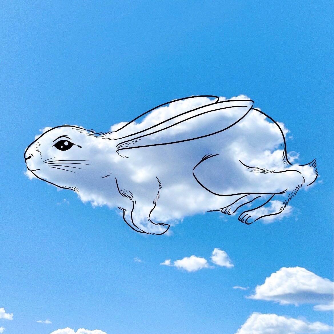 「☁️+✏️= 🐢🐇🐊 」|albaのイラスト