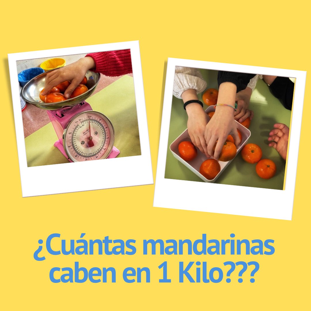 ceipsoncaliu's tweet photo. 𝐸𝓈𝓉𝒾𝓂𝒶𝒸𝒾𝑜𝓃𝑒𝓈 y 𝐸𝓆𝓊𝒾𝓋𝒶𝓁𝑒𝓃𝒸𝒾𝒶𝓈 con las unidades de ℙ𝔼𝕊𝕆. 🍊⚖️
...
𝐸𝓈𝓉𝒾𝓂𝒶𝒸𝒾𝑜𝓃𝓈 i 𝐸𝓆𝓊𝒾𝓋𝒶𝓁è𝓃𝒸𝒾e𝓈 amb les unitats de ℙ𝔼𝕊. 🍊⚖️

#ceipsoncaliu #matesmanipulatives #matesmanipulativas @jonhdzabaitua https://t.co/FgvozP8xrr