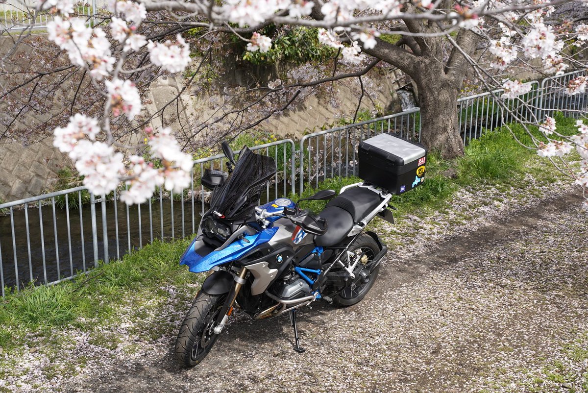 おいらのＧＳ君👍
桜の下でご満悦🎵🌸

#R1200gs #gsrally #bmwmotorcycle #バイク #バイク好きと繋がりたい #ツーリング
