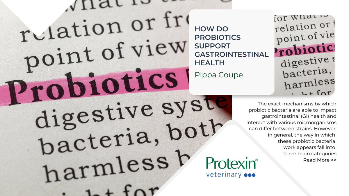 WikiVet (@wikivet) on Twitter photo NEW CONTENT! π¨
Learn all about how probiotics support gastrointestinal health in the NEW article from <a href="/Protexin_Vet/">Protexin Veterinary</a> here π ow.ly/qF3Z50IzAPB NEW CONTENT! π¨
Learn all about how probiotics support gastrointestinal health in the NEW article from <a href="/Protexin_Vet/">Protexin Veterinary</a> here π ow.ly/qF3Z50IzAPB