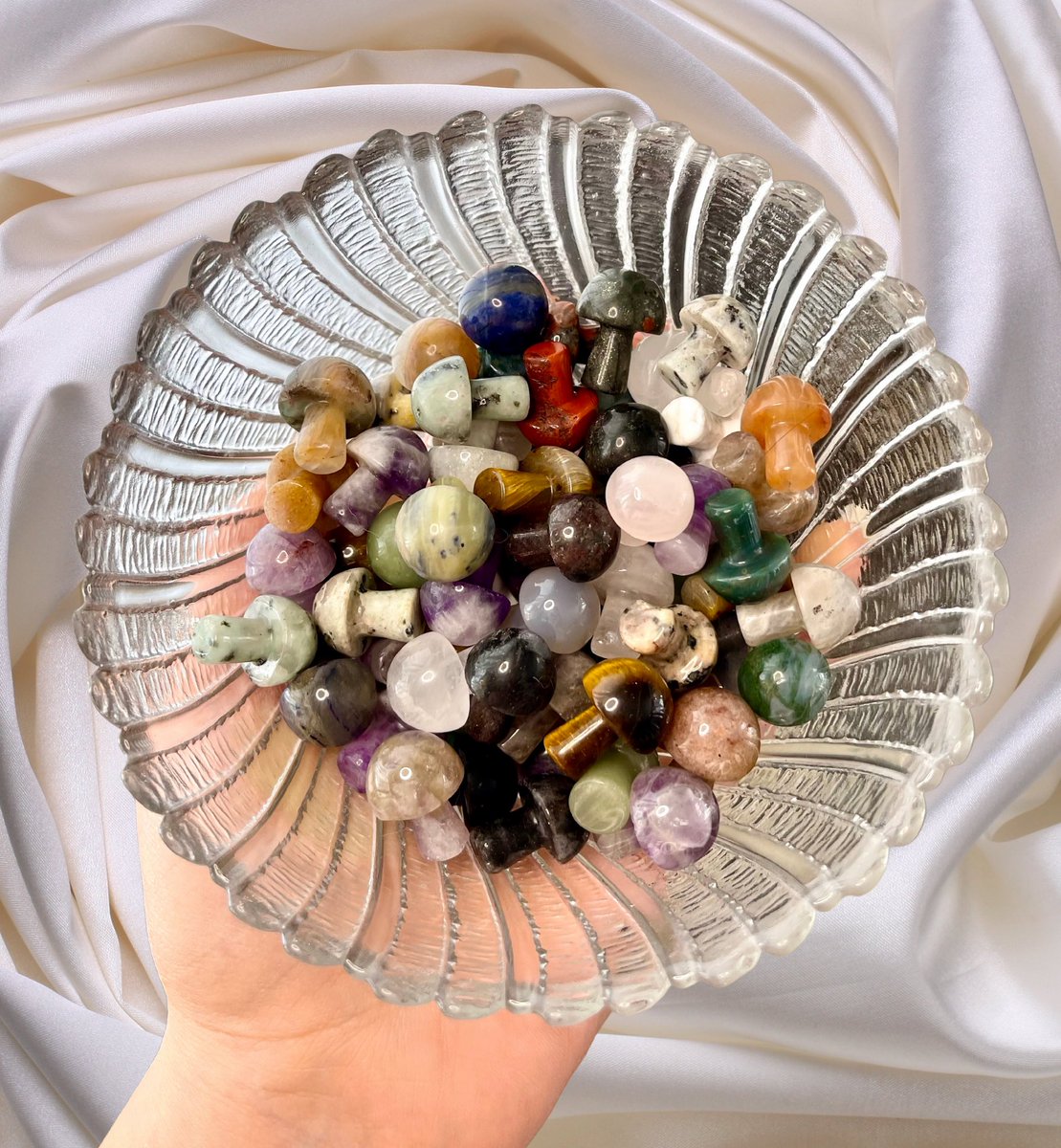 Affordable Random Pick Mushrooms 🌈✨ L!nk in bio