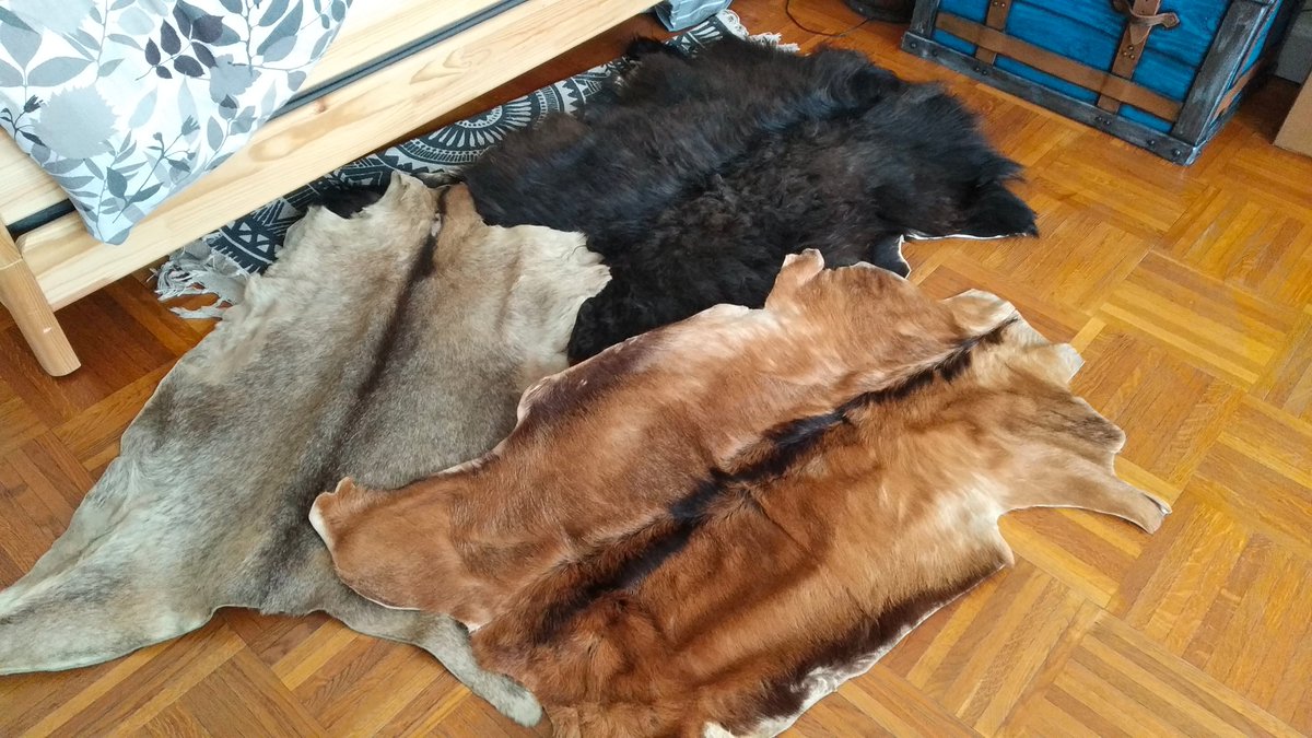 J'ai reçu du matos pour le nouveau projet... 🪓💀🎶