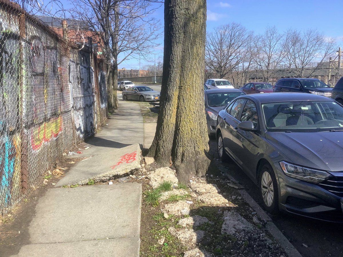 BaxterHogan's tweet photo. #Queens #blackoak #quercusVelutina
#brokensidewalk #roots 

#TreesofNYC #NYC #treeBeds 
#urbanforest #BLTrees
#trees #UrbanCanopy #treeEquity 

@nyc311 
@NYCParks 
@NYC_DOT 

https://t.co/HjqpxGRtbJ https://t.co/8LL9gVvZhT