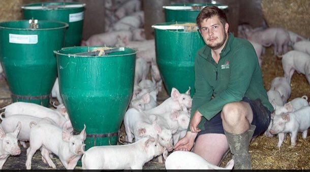 WestonDiscGroup's tweet photo. spaces still available farm trip to Essex 7-9th June, all board, travel and food included:

🐄 Torrance’s of Battle Farm (Gold Cup nominees)
🍓Wilkins &amp; Sons fruit &amp; jam makers 
🌽 Guy Smith former NFU Chair/ arable 
🐷 Jack Bosworth 540 sow unit 
🦃 KellyBronze Turkeys https://t.co/FzGjsonIqb
