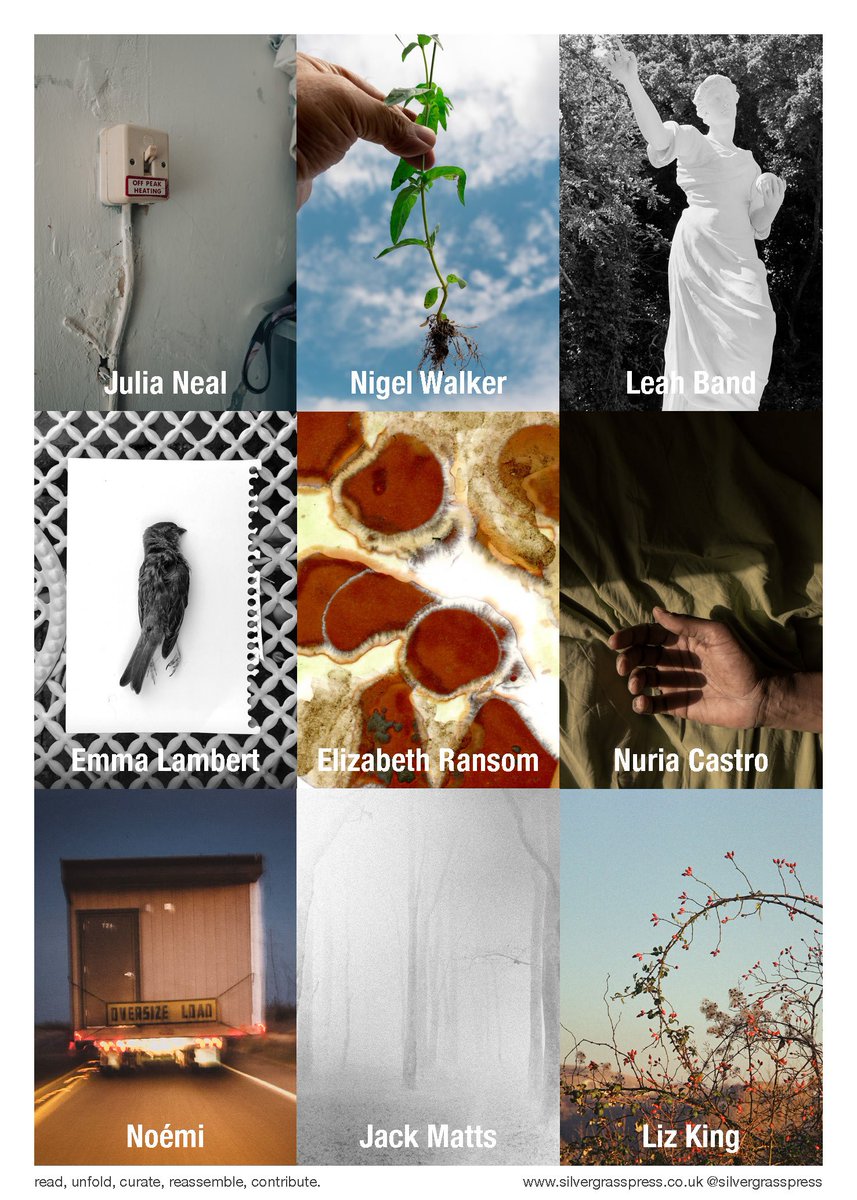 Elizabeth Ransom tweet media